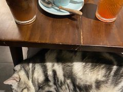 -咖法森林·咖啡  酒吧(天河店)