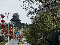 -卧龙湖
