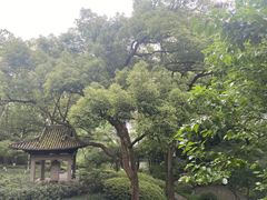 -杭州花家山庄