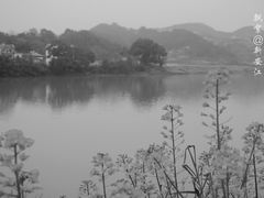 -新安江山水画廊风景区