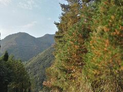 -东天目山风景区