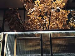 -丽晶大班SPA(大沽店)