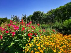 -大兴滨河森林公园