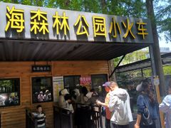 -黄海国家森林公园