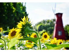 -廊坊文化艺术中心