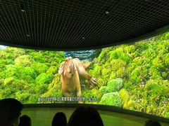 -诸城市恐龙博物馆