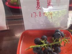 -马陆小张葡萄园农家乐