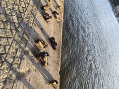-多瑙河畔鞋履雕塑