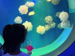 -泉城欧乐堡海洋极地世界