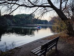 -上海共青森林公园