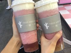 -一树一叶·福建茶档(石鼓路店)