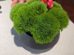 -悦融·京鲁菜·露台花园(安定门店)