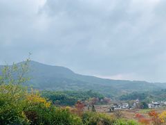 -塔川景区