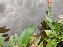 -重庆彩云湖湿地公园