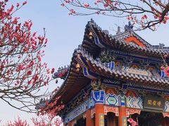 -梅花山(明孝陵内)
