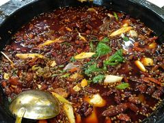 特色肥肠-烧哥美蛙肥肠鱼火锅·十五年社区店