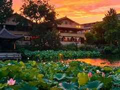 -朴墅(西湖青芝坞店·杭帮菜·家宴.14年的店)