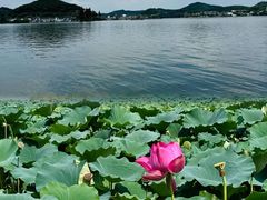 -东钱湖旅游度假区