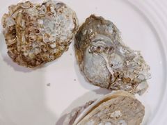 炭烧生蚝-四海一家自助餐(益田假日广场店)