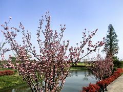 -嘉北郊野公园
