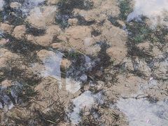 -南宁南湖公园