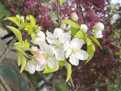 -元大都城垣遗址公园