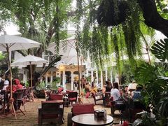 -Fern Forest Cafe