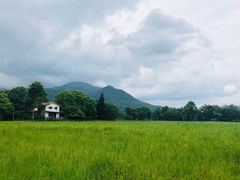 -瑞穗牧场