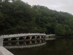 -深圳仙湖植物园