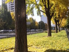 -钓鱼台国宾馆
