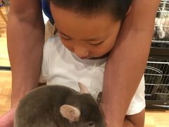 -藦茜花园宠物主题亲子互动体验馆(国顺东路店)