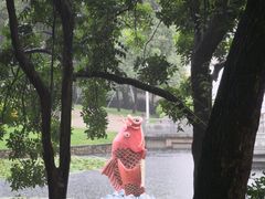 -荔枝公园(福田区)