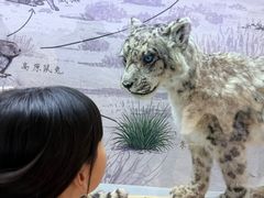 -青藏高原野生动物园