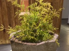 -翁暖茶馆(滨江东总店)