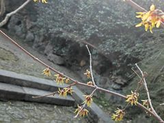 -无锡惠山寺