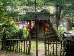 -五营国家森林公园