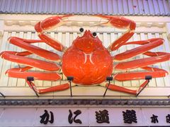 -蟹道乐(道顿堀本店)
