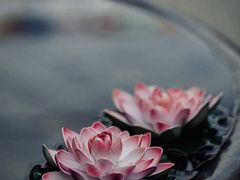 -西安市广仁寺