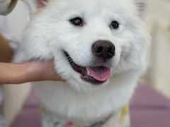 -怪兽屋·羊驼·猫咖·狗咖(俊华广场店)