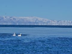 -青海湖国家重点风景名胜区