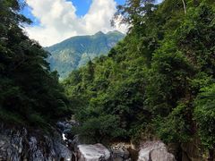 -广州市流溪河国家森林公园