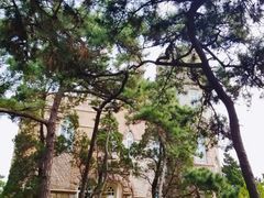 -八大关景区