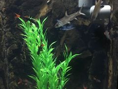 -苏州海洋馆
