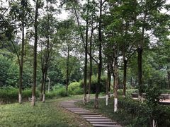 -重庆彩云湖湿地公园