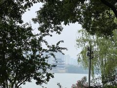 -橘子洲景区