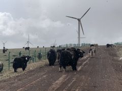 -塞罕坝国家级自然保护区