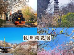 -杭州植物园
