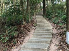 -中山市树木园