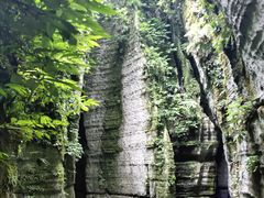 -梦幻奥陶纪景区