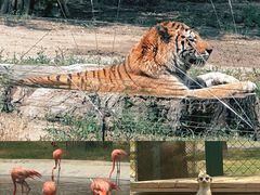 -秦皇岛野生动物园